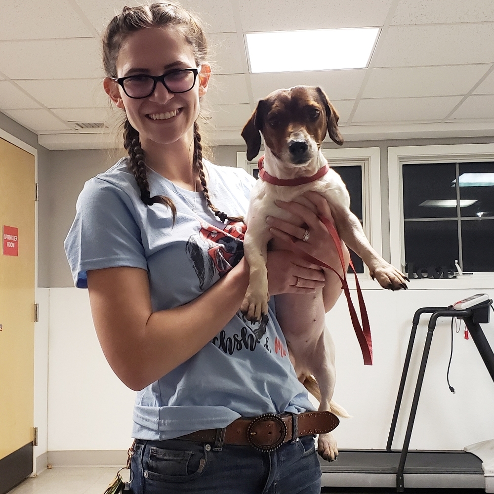 Dog Medical Bills Fundraiser - Picture 10 of 16